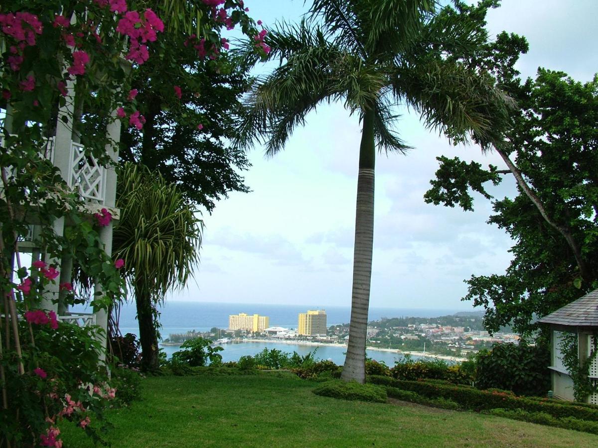 Sky Castles Apartment Ocho Rios Ngoại thất bức ảnh
